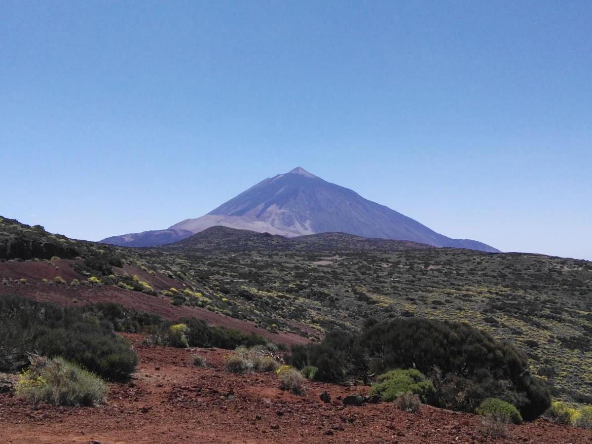 Los Diamantes Komfort Los Cristianos  Luaran gambar